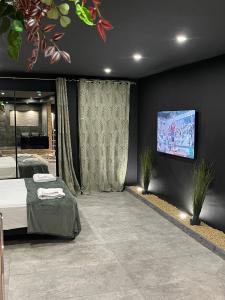 een slaapkamer met 2 bedden en een flatscreen-tv aan de muur bij Spa & Love Exotic - Balnéo - Sauna - Parking in Clermont-Ferrand