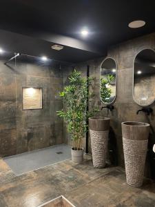 een badkamer met een glazen douche met potplanten bij Spa & Love Exotic - Balnéo - Sauna - Parking in Clermont-Ferrand