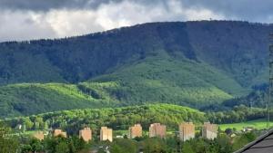 Príroda v okolí apartmánu