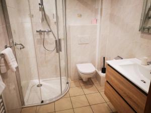 a bathroom with a shower and a toilet and a sink at Hôtel le Saint Nicolas in Riquewihr