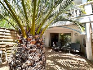 朗通的住宿－La Palmeraie YourHostHelper，房屋前的棕榈树