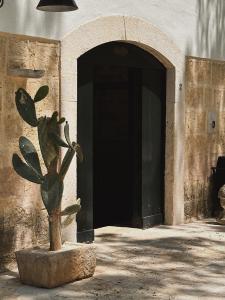 een beeld van een plant voor een deur bij Quomorari in Barletta