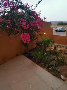 a bush with pink flowers on a wall at A wonderful stay at the Dead Sea in Sowayma