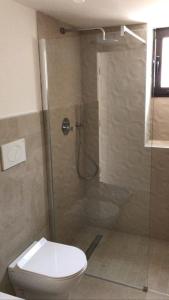 een badkamer met een toilet en een glazen douche bij Dimora San Felice Il Fico in Gallipoli