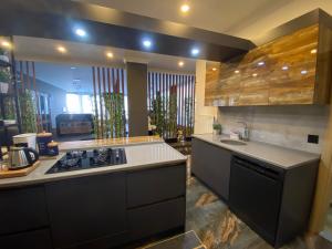 Kuchyň nebo kuchyňský kout v ubytování Fenix loft
