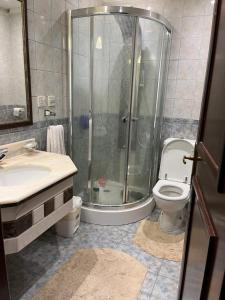 a bathroom with a shower and a toilet and a sink at شاليه La veranda in Durat  Alarous