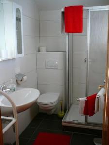 a bathroom with a toilet and a sink and a shower at Pension Strauss in Sankt Lorenzen ob Murau