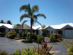 a palm tree in front of a house at Annand Mews Apartments in Toowoomba