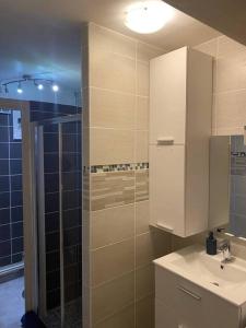 een badkamer met een wastafel en een glazen douche bij ABSL Appartement in Villefranche-sur-Saône
