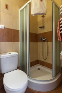 La salle de bains est pourvue d'une douche et de toilettes. dans l'établissement Pensjonat OdNova, à Tylicz