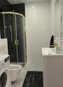 a bathroom with a shower and a toilet and a sink at Apartament Magnolia in Muszyna