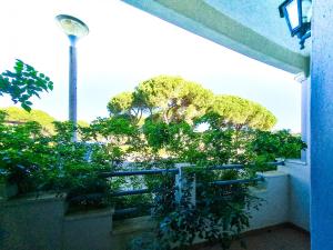 a view from a balcony with trees and a street light at FLH Quinta das Salinas Triplex with Balcony in Vale do Lobo