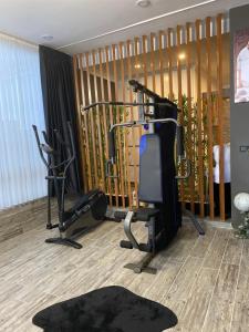 Fitness centrum a/nebo fitness zařízení v ubytování Fenix loft