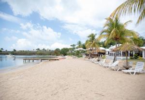 einen Strand mit Stühlen, Palmen und einem Pier in der Unterkunft Bungalows On The Bay in Christiansted