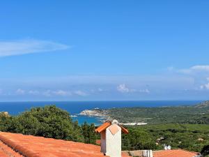 una vista del océano desde el techo de una casa en I bilocali di via Ginestre, Rena Majore, en Rena Majore