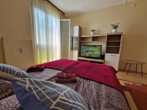 a bedroom with two beds and a flat screen tv at Casa Cristina in Pécs