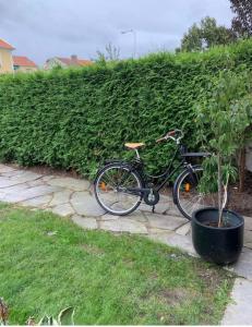 a bike parked next to a plant on a sidewalk at charmigt radhus i centrala Göteborg in Gothenburg