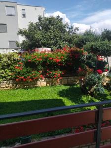 Zahrada ubytování Zelena oaza Apartment