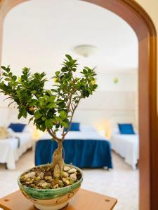 małe drzewko w wazie na stole w obiekcie Casa della Frutta w mieście Anacapri