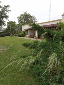 a house with a pile of grass in the yard at Hospedaje El Rincon in San Antonio de Areco