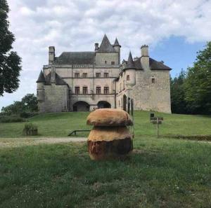 um velho castelo com um tronco em frente em Le hameau de Donnedevie em Marcillac-la-Croisille