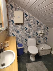 La salle de bains est pourvue de toilettes et d'un lavabo. dans l'établissement Huvila kosken rannalla, à Keuruu