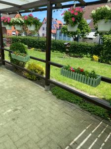 Zahrada ubytování Ferienwohnung Lucky Soest