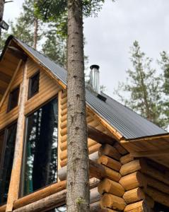 a log cabin in the woods with a tree at Hut In Hatsvali in Mestia