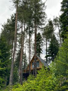 Náttúran í nágrenni hótelsins