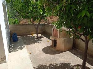 a courtyard with two trees and a cement wall at STS 21, Nicosia-Lakatamia one-bedroom Apartment in Kato Lakatamia