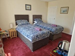 two beds in a room with purple carpet at Manorbier House - Lundy North Room in Tenby