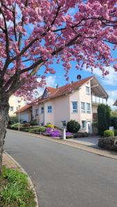 a tree with pink flowers in front of a house at Tauberperle in Weikersheim