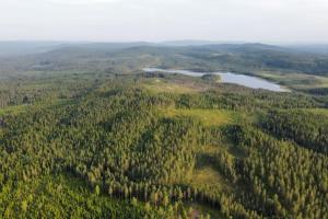 Loodusmaastik puhkemaja lähedal