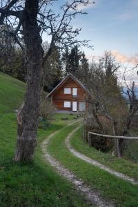 a house on a hill with a tree and a dirt road at St. Barbara Hideaway in Škofja Loka