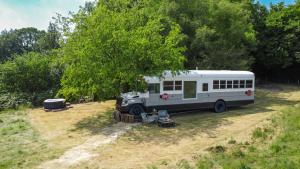 American School Bus Retreat with Hot Tub in Sussex Meadow في يوكفيلد: باص يقف في حقل تحت شجرة