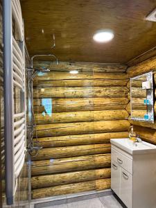 a bathroom with a wooden wall at Hut In Hatsvali in Mestia
