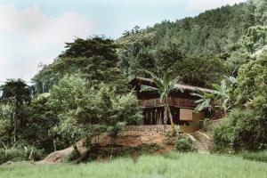ein Haus mitten im Wald in der Unterkunft Arawe Retreat in Ella