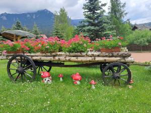 Billede fra billedgalleriet på Pensiunea Maria i Durau