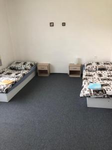 Ένα ή περισσότερα κρεβάτια σε δωμάτιο στο Apartmán Orlík nad Vltavou