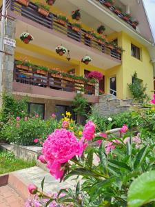 Billede fra billedgalleriet på Pensiunea Maria i Durau