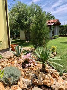 Gallery image of Goldfinch Estate in Banjole