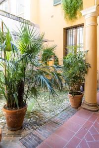a group of plants in pots on a patio at La casa del Vescovo in Imola