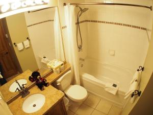 uma casa de banho com um lavatório, um WC e um chuveiro em Fireside Lodge #409 By Bear Country em Sun Peaks