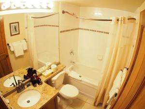 a bathroom with a sink and a toilet and a shower at Fireside Lodge #409 By Bear Country in Sun Peaks