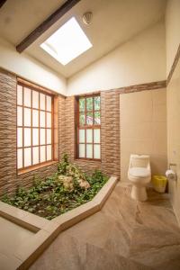 baño con aseo y planta en Hotel Maya Bell, en Palenque