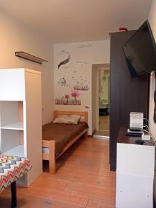 a small room with a bed and a tv at Studio apartment Novi Sad in Novi Sad