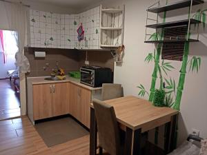 a kitchen with a wooden table and a kitchen with a sink at Studio apartment Novi Sad in Novi Sad