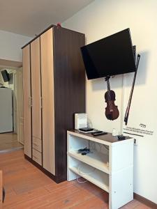 a cabinet with a television and a guitar on it at Studio apartment Novi Sad in Novi Sad