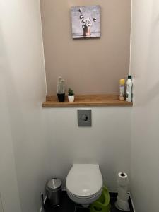 ein Badezimmer mit einem weißen WC und einem Holzregal in der Unterkunft Le Gai Lo Gite in Villers-Pol