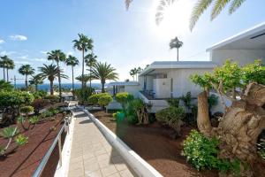 a house with palm trees in front of it at BLUESEA El Dorado in Puerto del Carmen